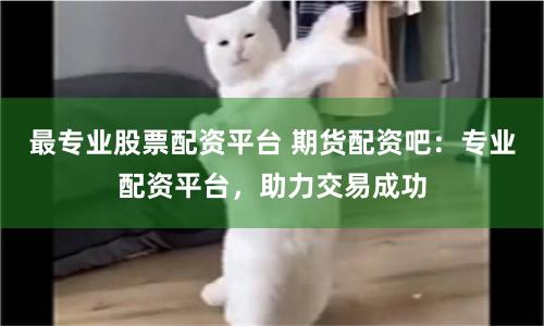 最专业股票配资平台 期货配资吧：专业配资平台，助力交易成功